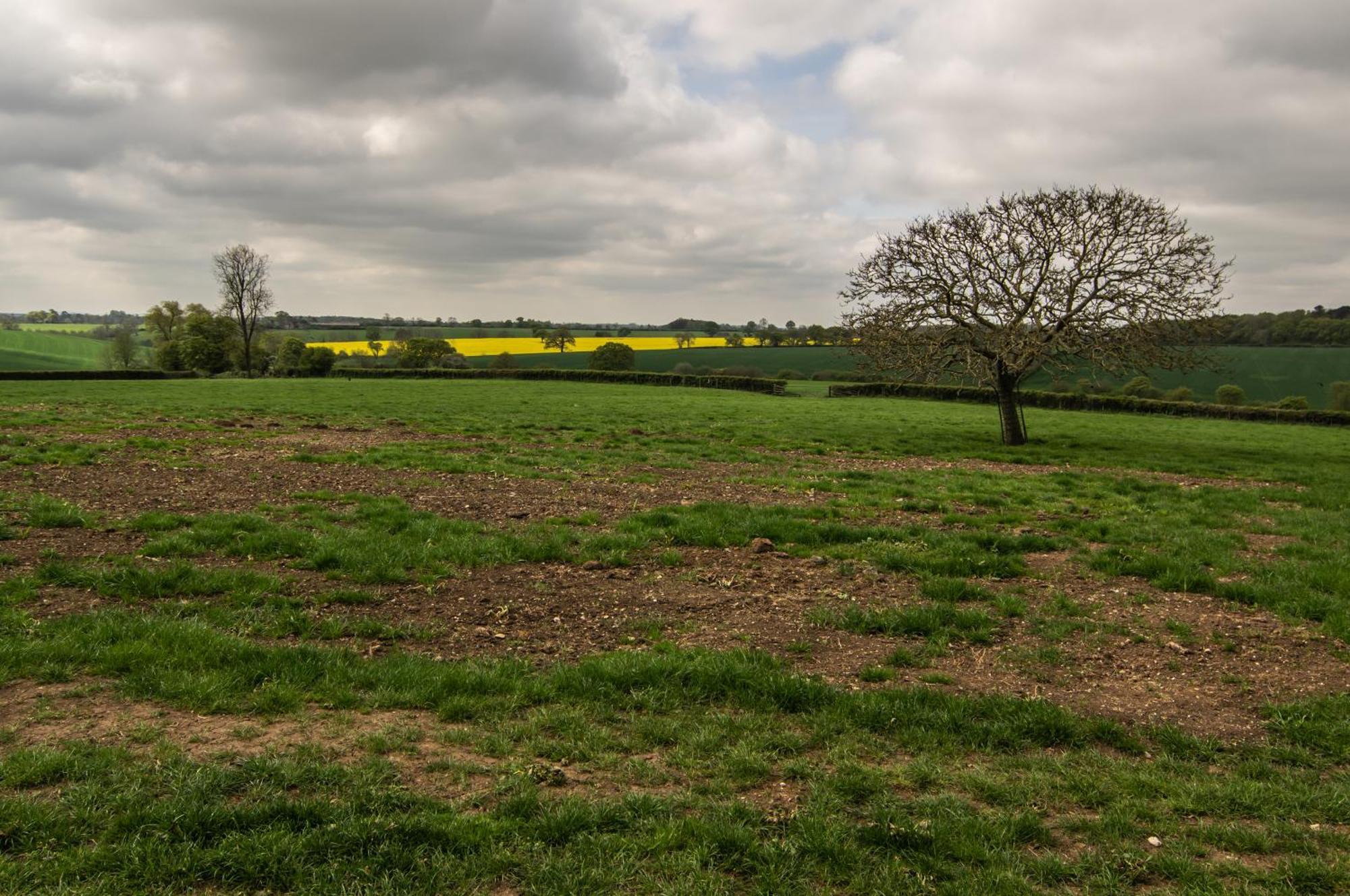 Parkfields Barns Self Catering Accommodation Buckingham Exteriör bild