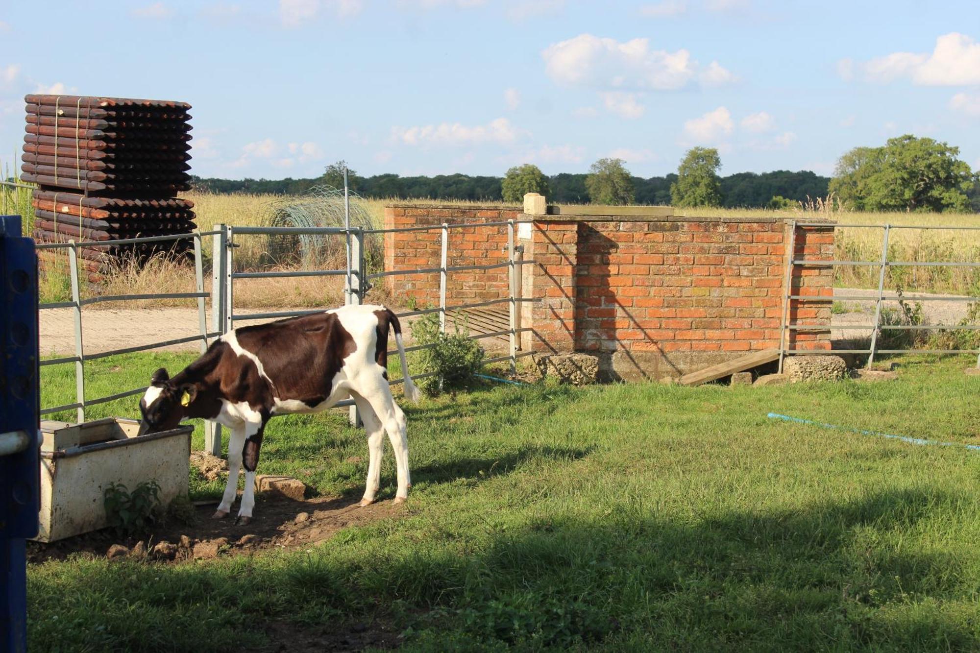 Parkfields Barns Self Catering Accommodation Buckingham Exteriör bild