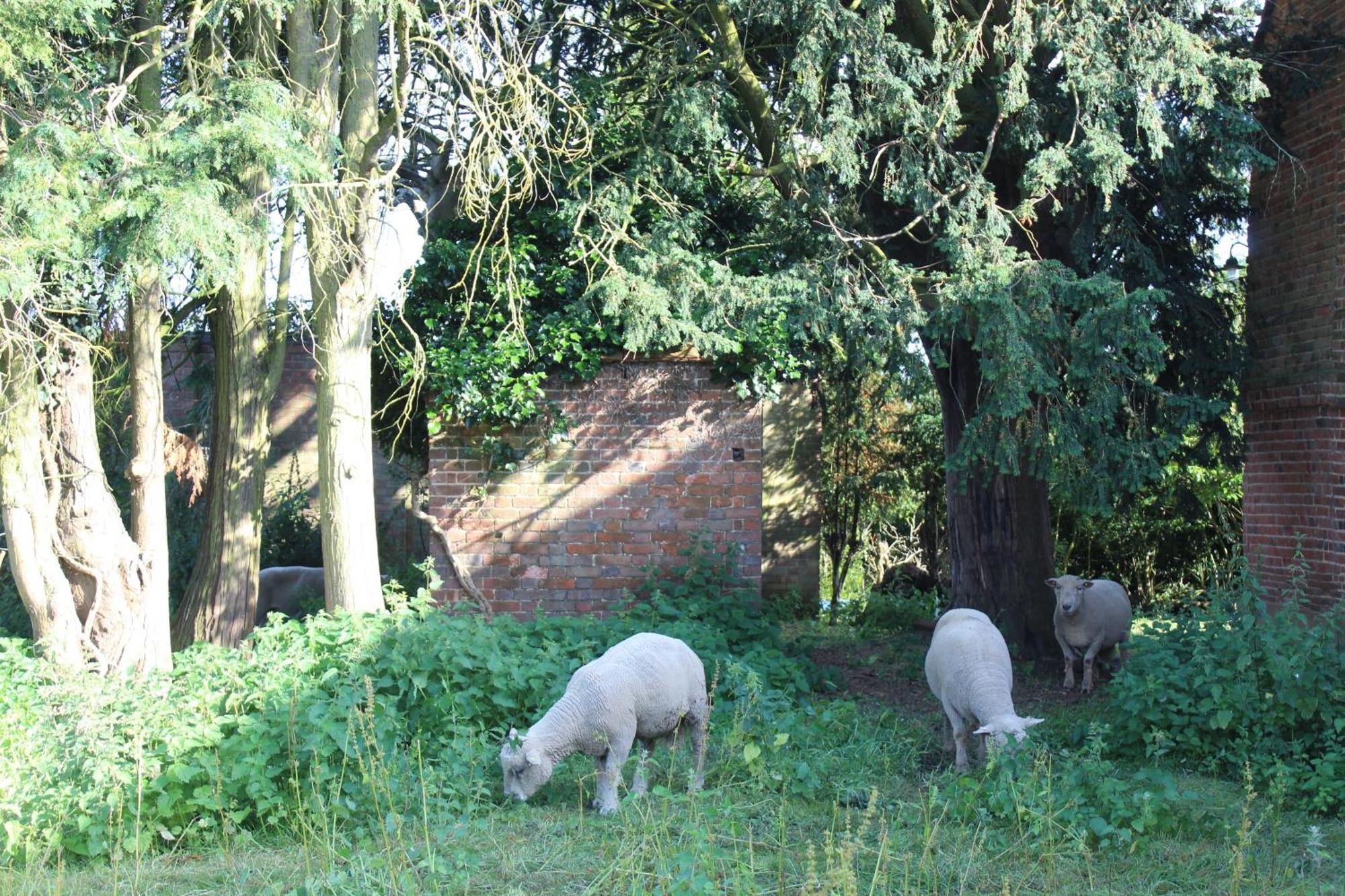 Parkfields Barns Self Catering Accommodation Buckingham Exteriör bild