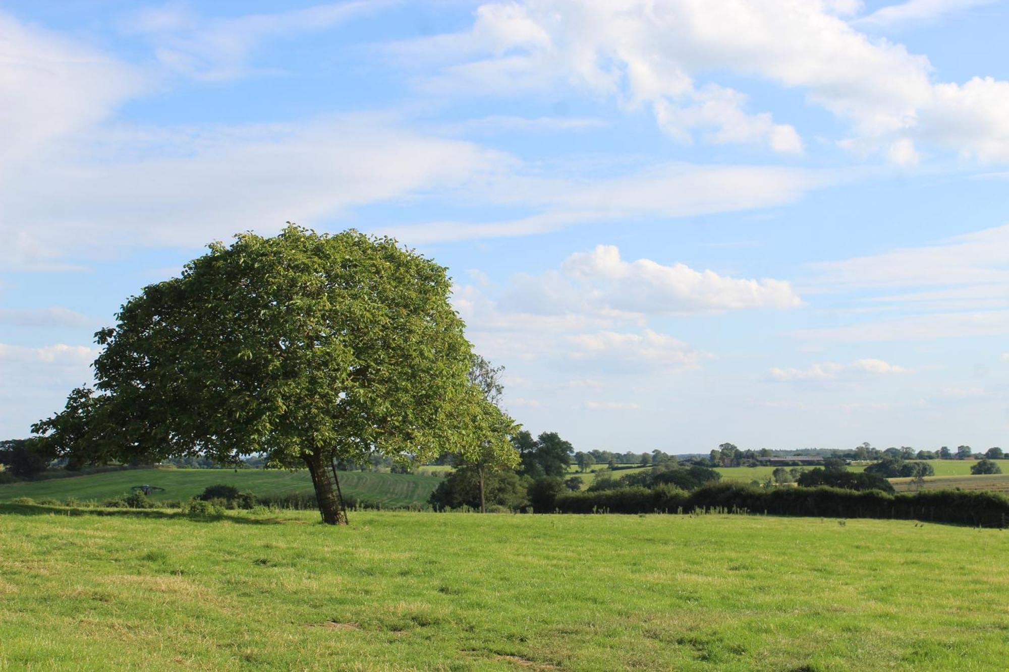 Parkfields Barns Self Catering Accommodation Buckingham Exteriör bild