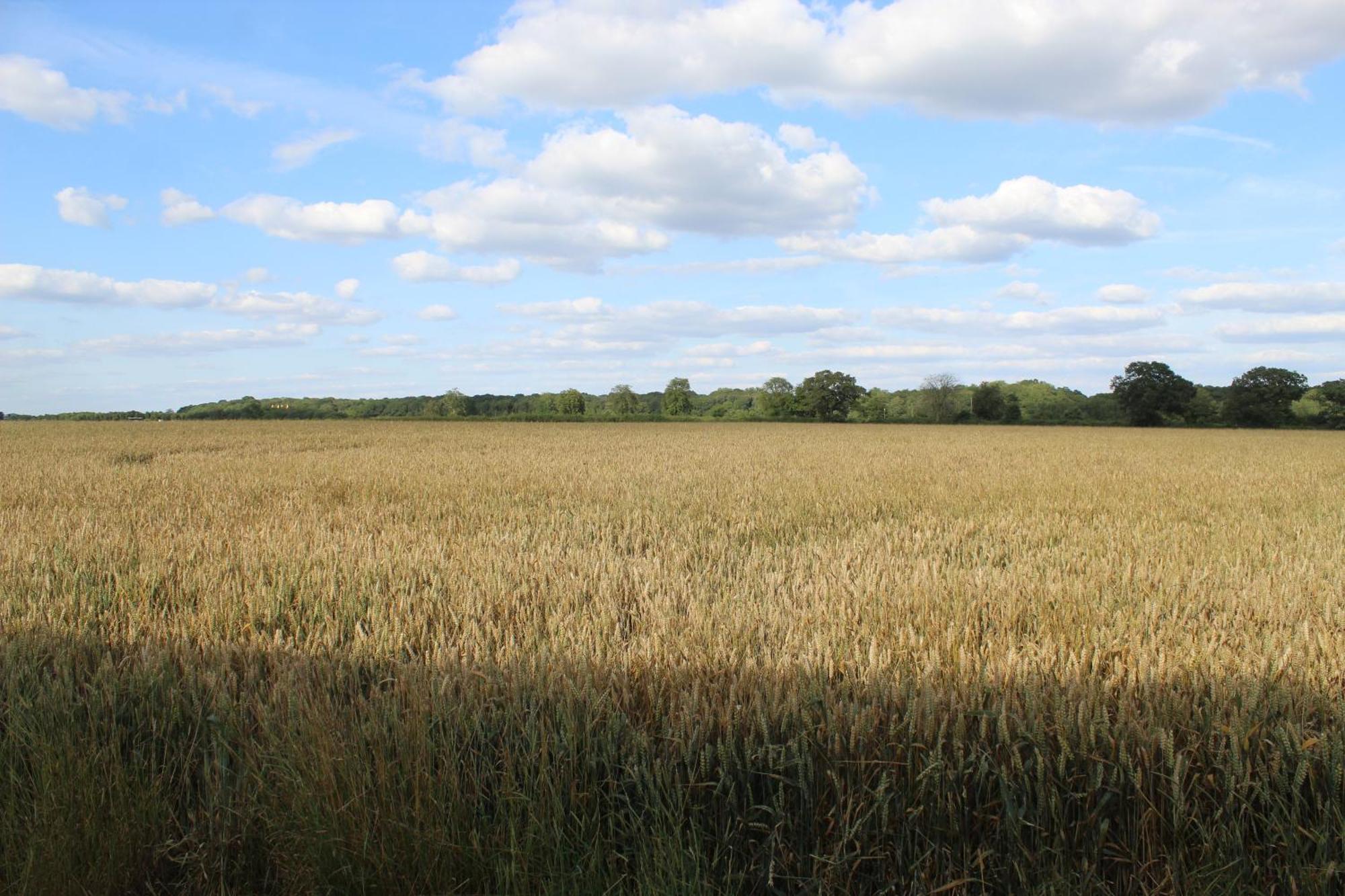 Parkfields Barns Self Catering Accommodation Buckingham Exteriör bild