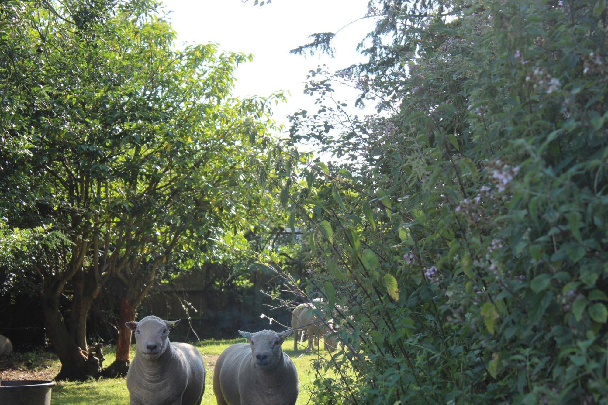 Parkfields Barns Self Catering Accommodation Buckingham Exteriör bild