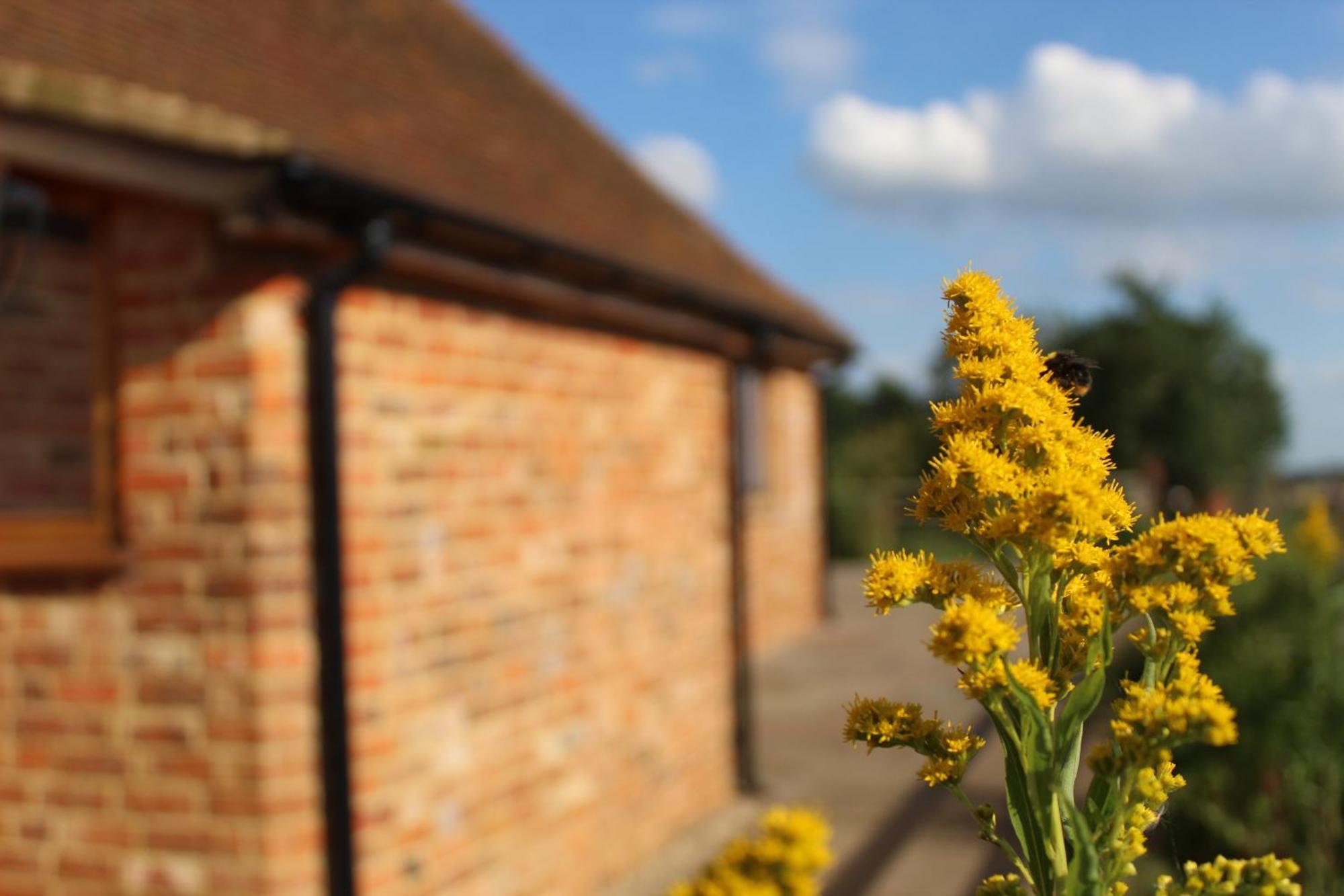 Parkfields Barns Self Catering Accommodation Buckingham Exteriör bild