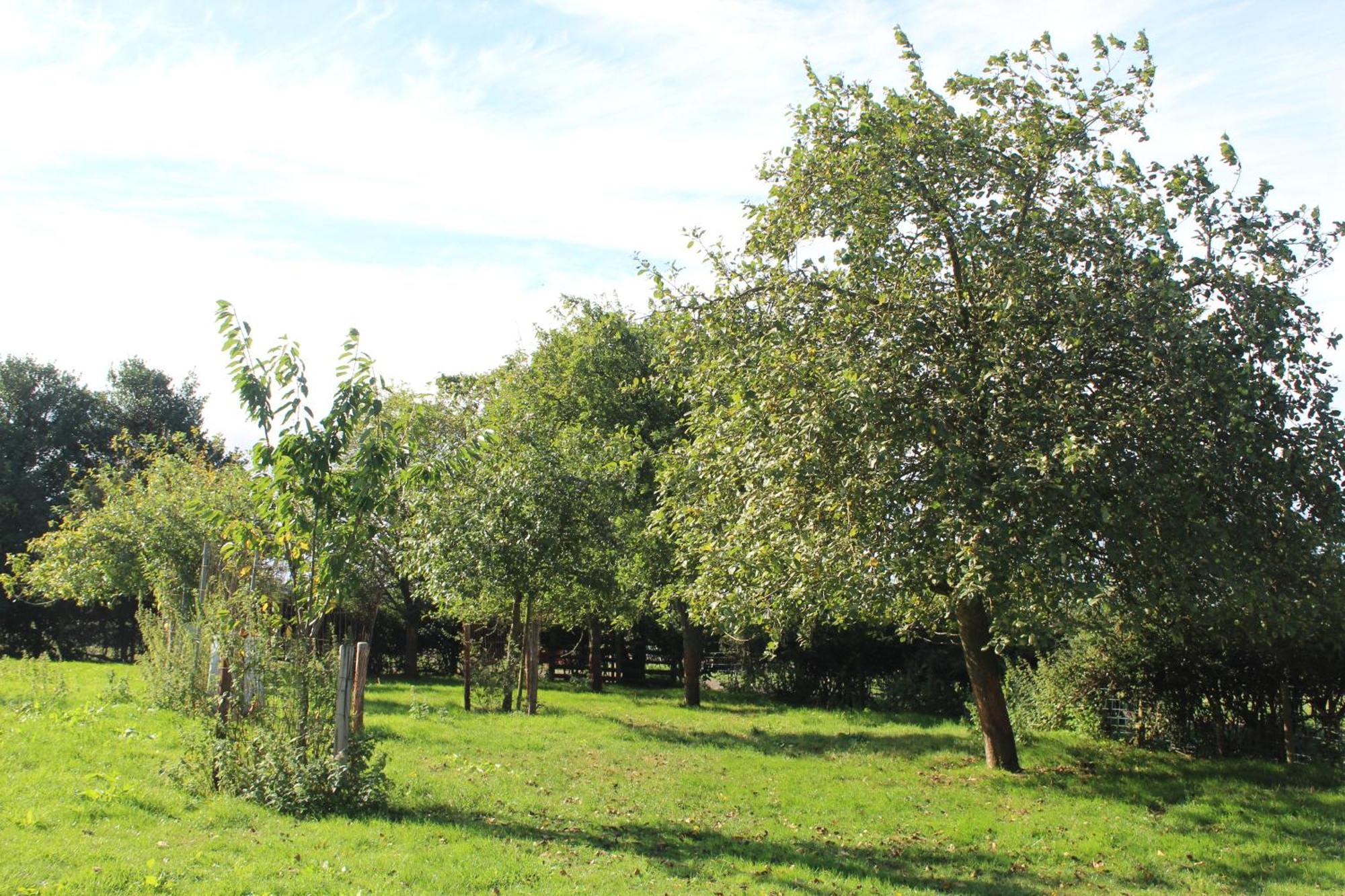 Parkfields Barns Self Catering Accommodation Buckingham Exteriör bild